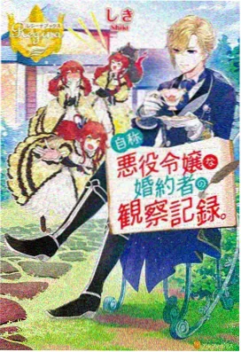 回复术士的崛起在线观看